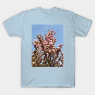 Apple Blossoms T-Shirt